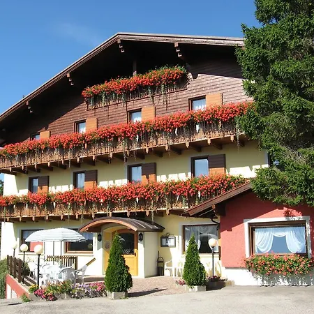 Hotell Cristina 3*